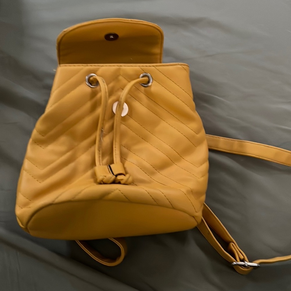Should bag /purse